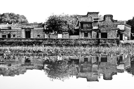 Dongguan Chashan cattle over Meng Villageのeditorial素材