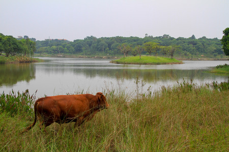 Songshanhuの写真素材