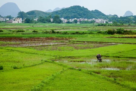 Villageの写真素材