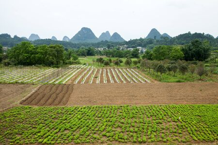 Villageの写真素材