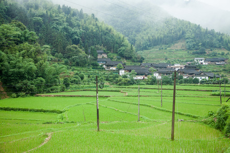 Villageのeditorial素材