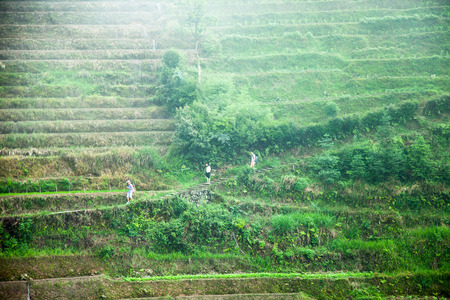 Longsheng terraceのeditorial素材