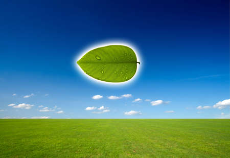 Nature and Technology in concept of saved green.