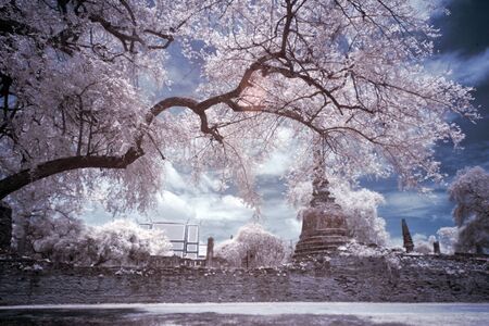 Infrared Landscapeの写真素材