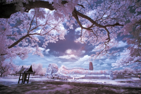 Infrared Landscapeの写真素材