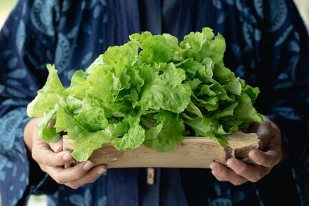 Female farmer holding a tray made of bamboo with fresh organic vegetables harvest from the farm.の写真素材