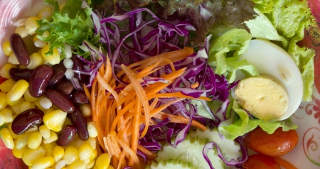 vegetable salad on the plate の写真素材