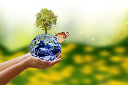 Ecology concept. Earth in human hands on blurred nature background.の写真素材