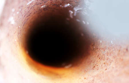 Wood plank brown texture backgroundの写真素材