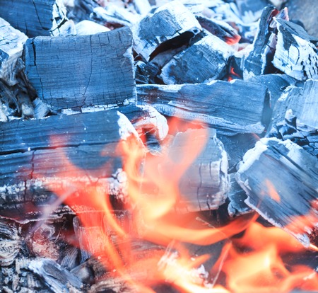 a lot of charred, charcoal, ash. The tree just burned down.の写真素材