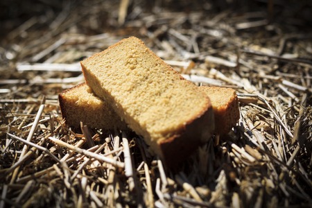 Two pieces of black bread. The bread lies on the grown bread. The depth of focus is very small.