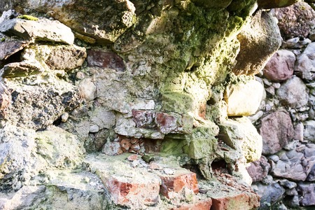 late fall. morning. the sun shines through the trees. stones in the swamp, a wall of stone building...