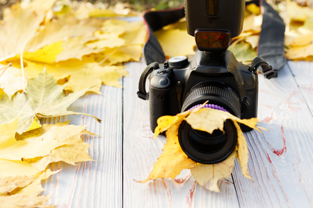 autumn yellow foliage. wooden background in retro style. camera, lens in the foliage. close-up.の写真素材