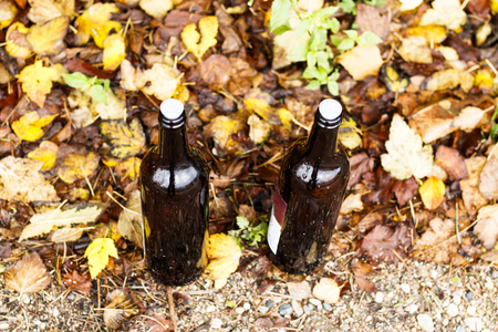 two bottles empty of wine. closed with cork. stand on the yellow foliage on the street.の写真素材