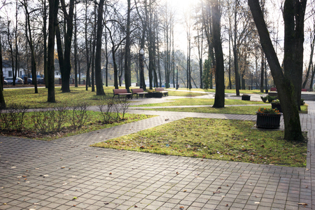 late fall. There are almost no leaves. Park in the city center. paths laid stoneの写真素材