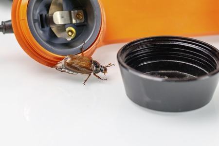 Chafer. retro phone. He gets out of the speaker. phone listening conceptの写真素材