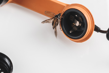 Chafer. retro phone. He gets out of the speaker. phone listening conceptの写真素材