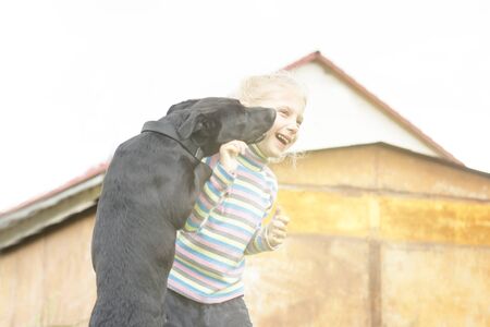 daylight. little girl playing with a black dog on the lawn in the yardの写真素材
