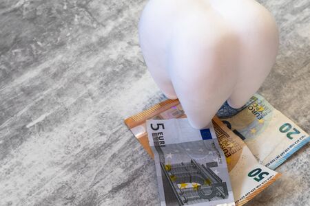 big tooth in the form of a piggy bank. it has the euro. paid dentistryの写真素材