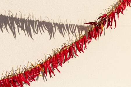 daylight. red pepper dries on a rope in the street. there is tintingの写真素材