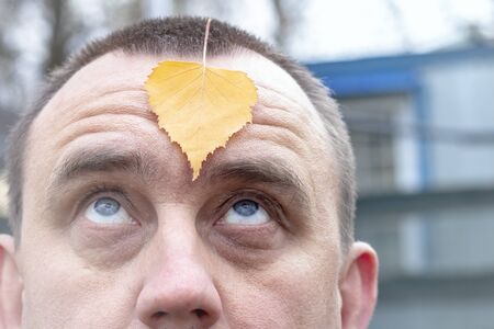 a man looks at a fallen birch leaf. yellow color. close-up. have tinted