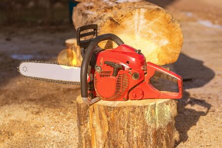 man sawing a big tree with a chainsaw. Sawdust. Close-up.