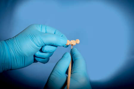 medical equipment. Making a denture. The doctor holds a crown in his hands and covers it with a special compoundの写真素材