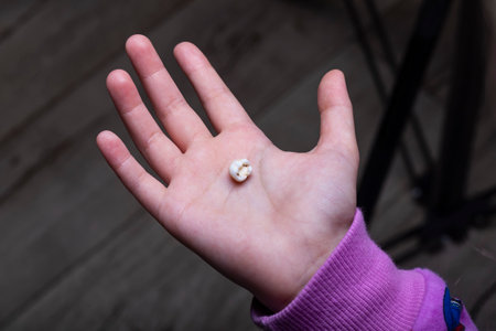 Room lighting. the child in his hand holds a white tooth that fell out of the child. Close-up