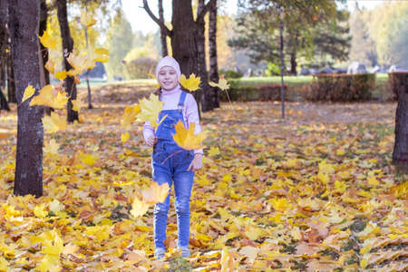 Portrait of a beautiful girl with long hair playing with fallen yellow maple leaves. outdoors in the city parkの写真素材