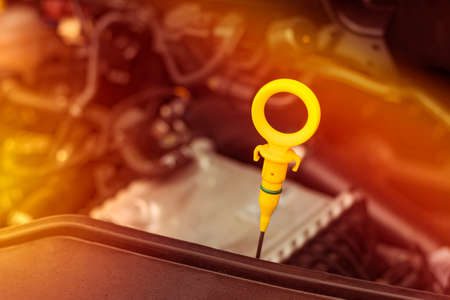 natural light. the engine compartment of the car. open hood. the extracted dipstick is oil. close...