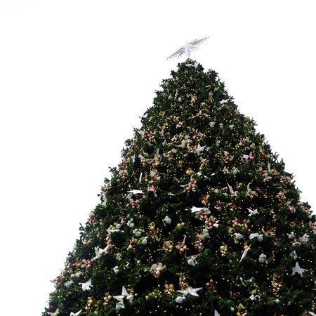 Christmas Tree and decorations  Over white background, outdoorの写真素材