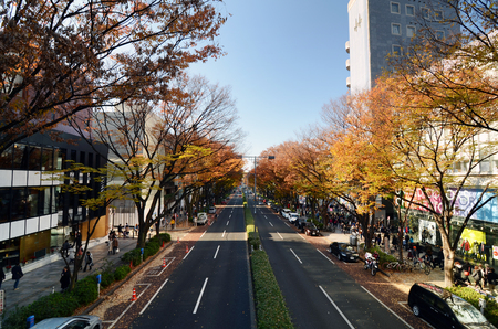 TOKYO - NOV 24  People on Omotesando Street on November 24  2013, Omotesando street sometimes referred to as Tokyoのeditorial素材
