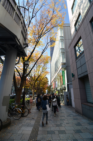 TOKYO - NOVEMBER 24  People on Omotesando Street on November 24  2013, Omotesando street sometimes referred to as Tokyoのeditorial素材