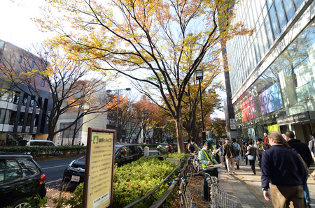 TOKYO - NOVEMBER 24  People on Omotesando Street on November 24  2013, Omotesando street sometimes referred to as Tokyoのeditorial素材