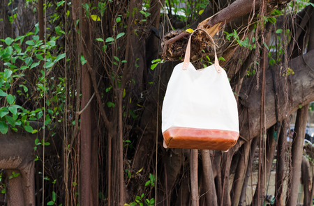 Fashion Leather Bags  hang on banyan branch, Nature backgroundの写真素材
