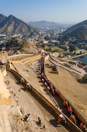Elephants climbing the path to Amber Fort in Jaipur, Rajasthan, Indiaのeditorial素材