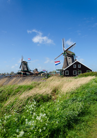 Wind mills in Zaanse Schans, The Netherlands.のeditorial素材