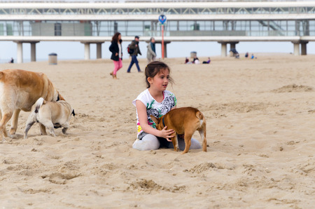 The Hague, Netherlands - May 8, 2015: Children playing at the beach, Scheveningen district in The Hague, Netherlands. Scheveningen is a modern seaside resort with a long sandy beach, an esplanade, a pier, and a lighthouse.のeditorial素材