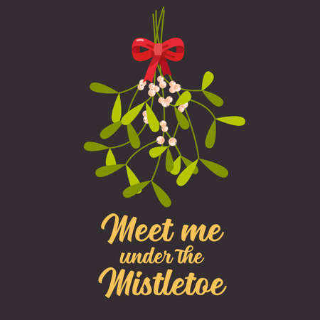 Meet me under the mistletoe. Christmas lettering with decorative design elements. Greeting cardのイラスト素材