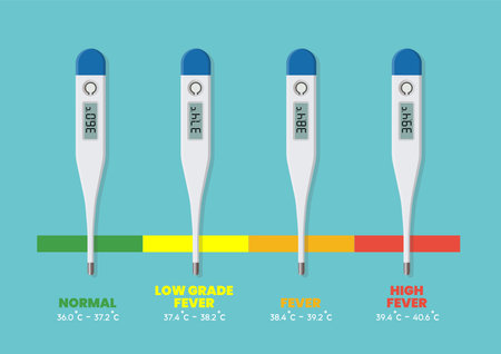 Fevers and Normal Body Temperature chart. Vector illustrationのイラスト素材