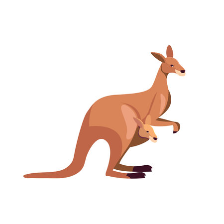 Kangaroo animal mother with child in pocket cute cartoon. Vector illustrationのイラスト素材