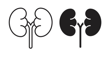 kidney iconset on white background. Eps 10 stock vectorのイラスト素材