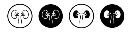 Kidney vector icon on the white background. EPS 10のイラスト素材