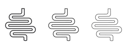 Intestines icon vector Graphics. Black thin lines iconsのイラスト素材