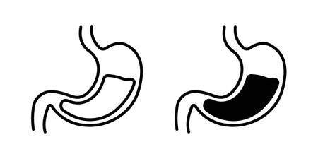 Stomach with Liquids icon for web designs. editable pictogram.のイラスト素材