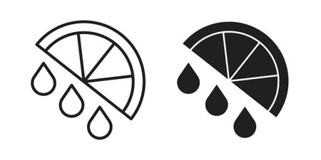 Citrus slice icon in editable style. Vector icon graphicsのイラスト素材