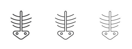 X ray icon in linear, outline icon isolated on white background