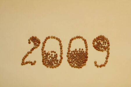 New year 2009 の写真素材