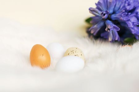 Easter eggs and bluebell