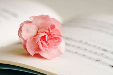 Flower and notesの写真素材